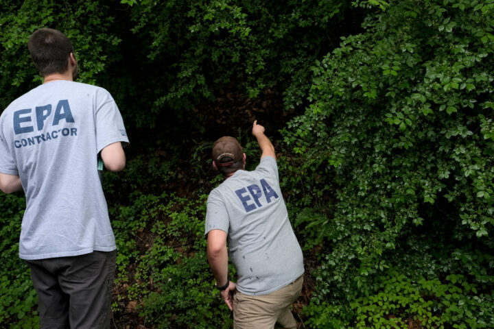 1100 epa employees fired